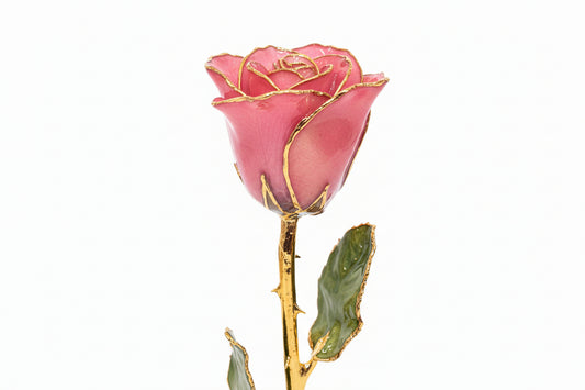 Real Rose Trimmed in 24kt Yellow Gold - Multiple Colors
