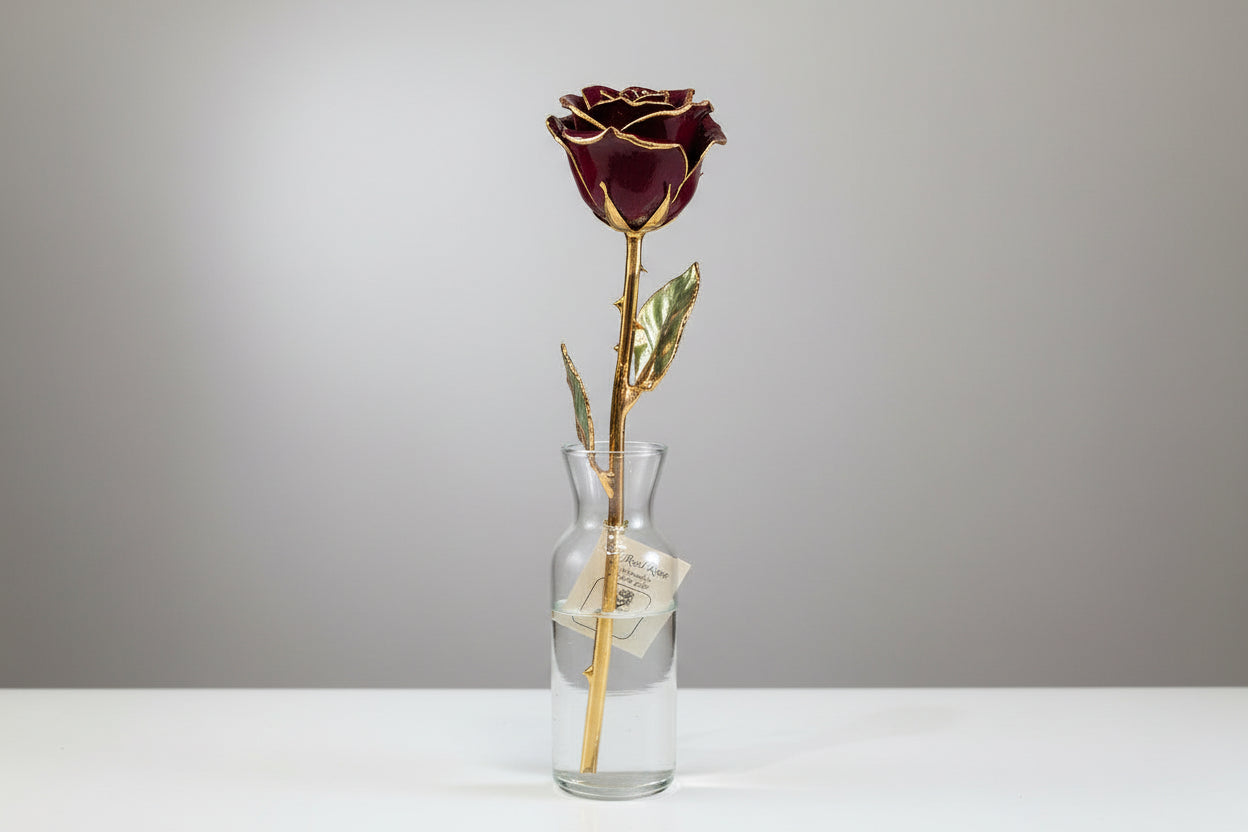 Real Rose Trimmed in 24kt Yellow Gold - Multiple Colors