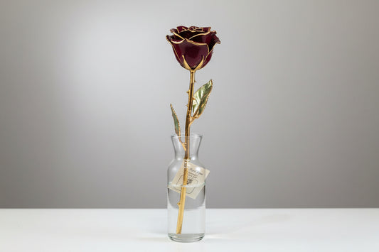 Real Rose Trimmed in 24kt Yellow Gold - Multiple Colors