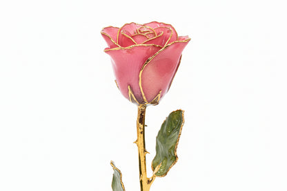 Real Rose Trimmed in 24kt Yellow Gold - Multiple Colors